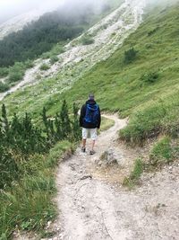 Rear view of hiker hiking on landscape