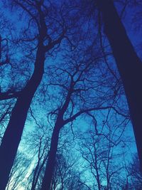 Low angle view of bare trees against sky