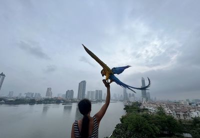 Rear view of woman with arms outstretched standing against sky in bangkok with an macaw