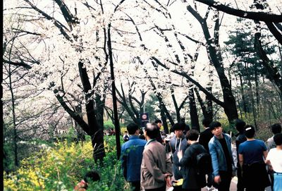 Group of people in the background