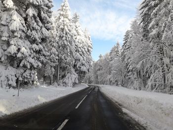 Road amidst trees against sky