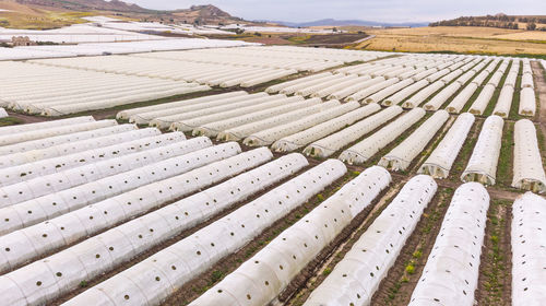 Aerial view of agricultural field