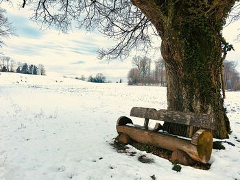 Snow on field against sky during winter