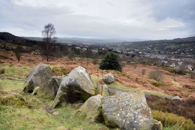 Panoramic shot of trees against sky
