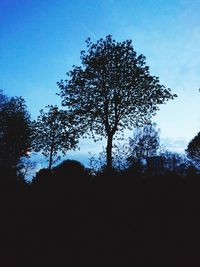 Low angle view of silhouette trees against clear blue sky