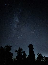 Silhouette people standing by tree against sky at night