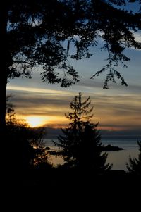 Silhouette trees on landscape against sky at sunset