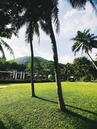 Scenic view of palm trees on field against sky