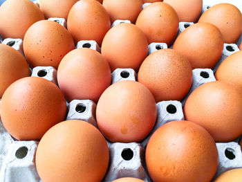 Close-up of brown eggs in container