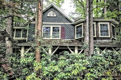 Abandoned house against trees