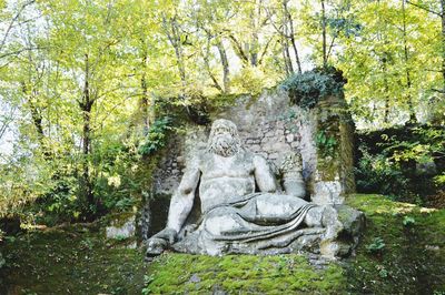 Statue against trees in forest