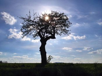 Bare trees on grassy field against sky at sunset