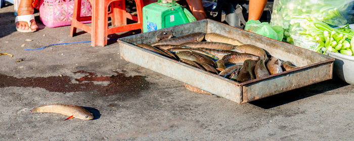 High angle view of fish for sale at market stall