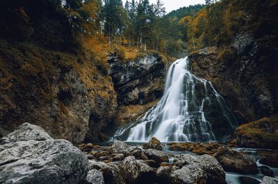 Scenic view of waterfall in forest