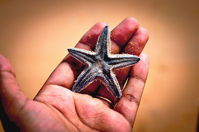 Close-up of cropped hand