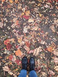 Low section of women standing on dry autumn leaves