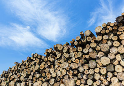 Stack of logs against sky