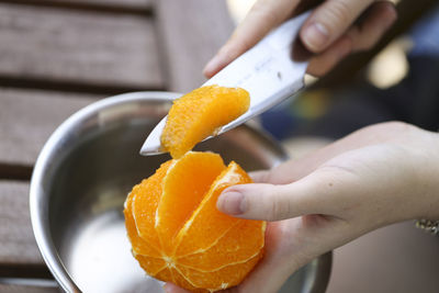 Close-up of hand holding fruit