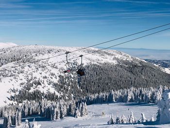 Ski lift over forest of evergreen trees covered in snow on a day with clear blue sky