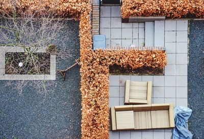 Plants growing outside building