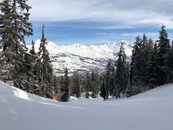 Trees on snow covered mountains against sky