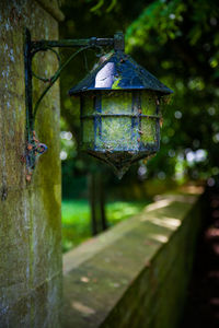 Close-up of old lantern hanging on tree