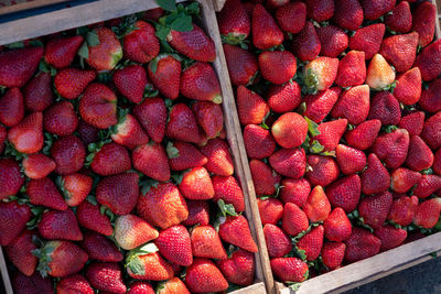 High angle view of strawberries in market