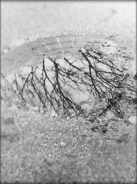 Close-up of frozen water