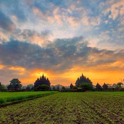 Scenic view of field against sky during sunset