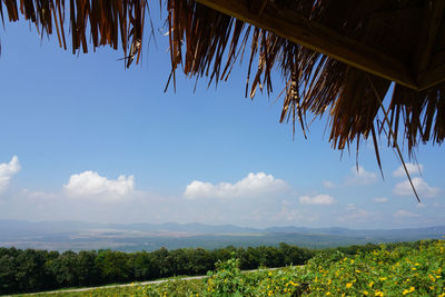 Scenic view of landscape against sky