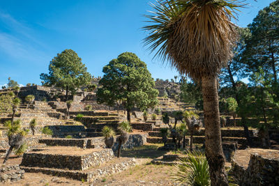 Cantona, puebla, mexico - a mesoamerican archaeoligical site with only few visitors