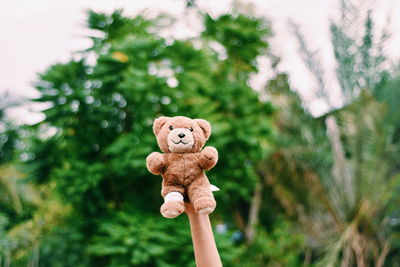 Close-up of hand holding toy against trees