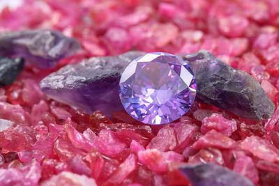 Close-up of water drops on rock