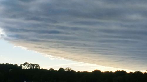 Silhouette trees against sky during sunset