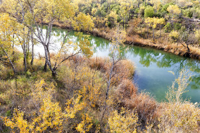 Reflection of trees in lake during autumn