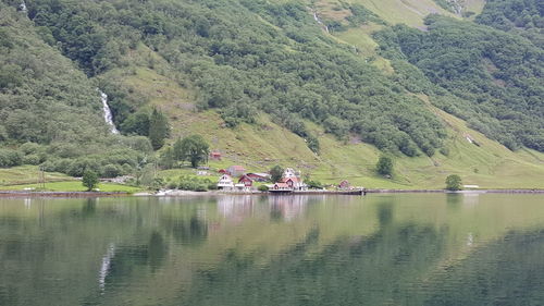 Scenic view of lake by trees against sky