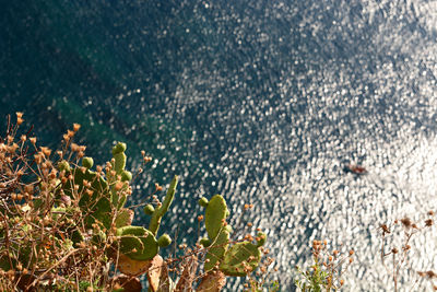 Full frame shot of sea