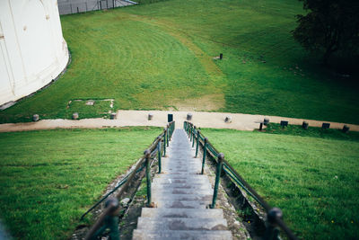 Scenic view of grassy field