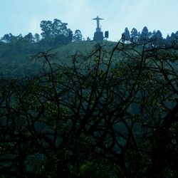 Silhouette trees against sky