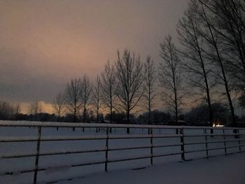 Bare trees on snow covered landscape against sky