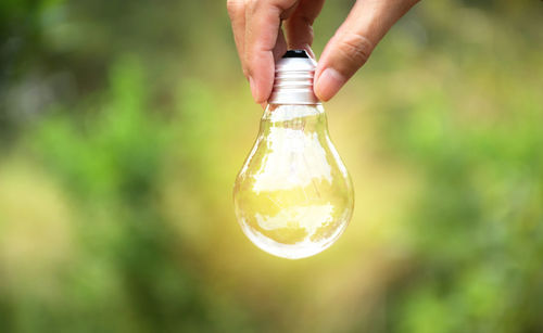 Close-up of person holding light bulb against trees