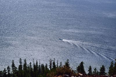 High angle view of trees by sea