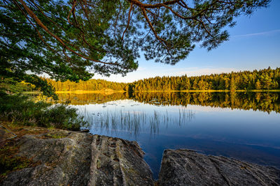 Scenic view of lake against sky during autumn