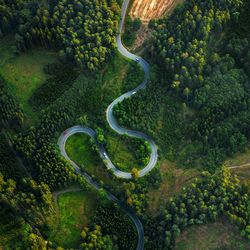 Aerial view of winding road amidst trees