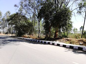 Road amidst trees against clear sky