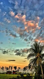 Silhouette of palm trees against cloudy sky