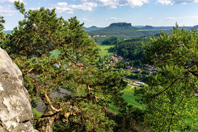 Plants and trees on landscape against sky