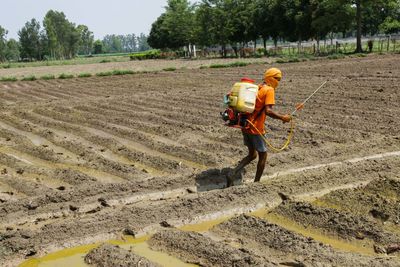 Man spraying pesticides on ploughed field