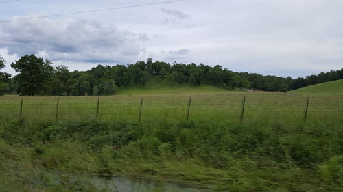 Scenic view of grassy field against cloudy sky