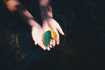 Cropped hands of man holding leaf in hands above water